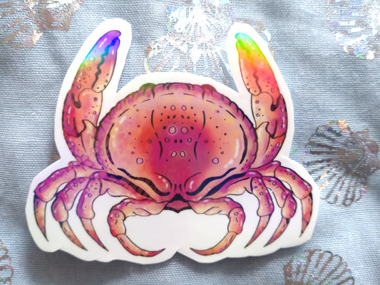 Something Fishy - ORANGE CRAB