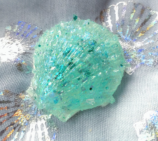 Fridge Magnet - TURQUOISE RESIN SCALLOP SHELL TEXTURED