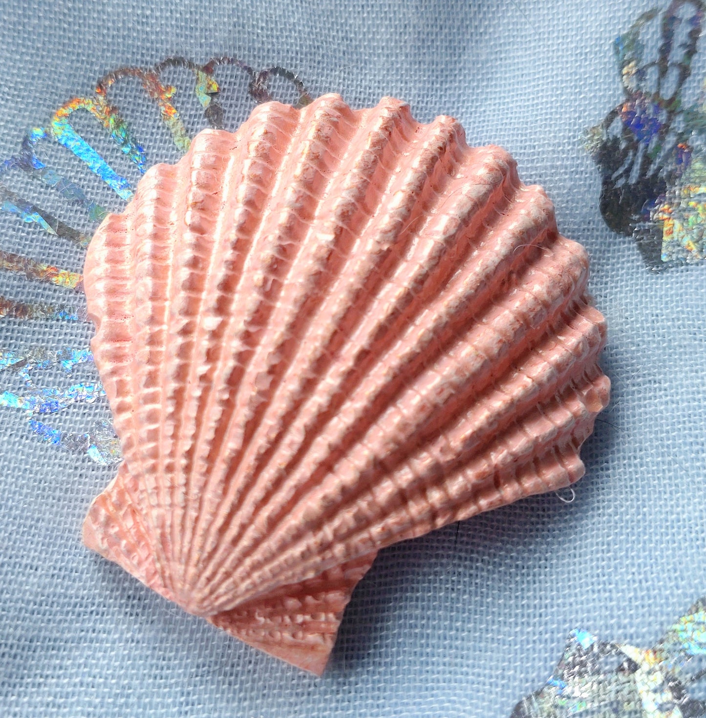 Fridge Magnet - PINK CRYSTACAL SCALLOP SHELL