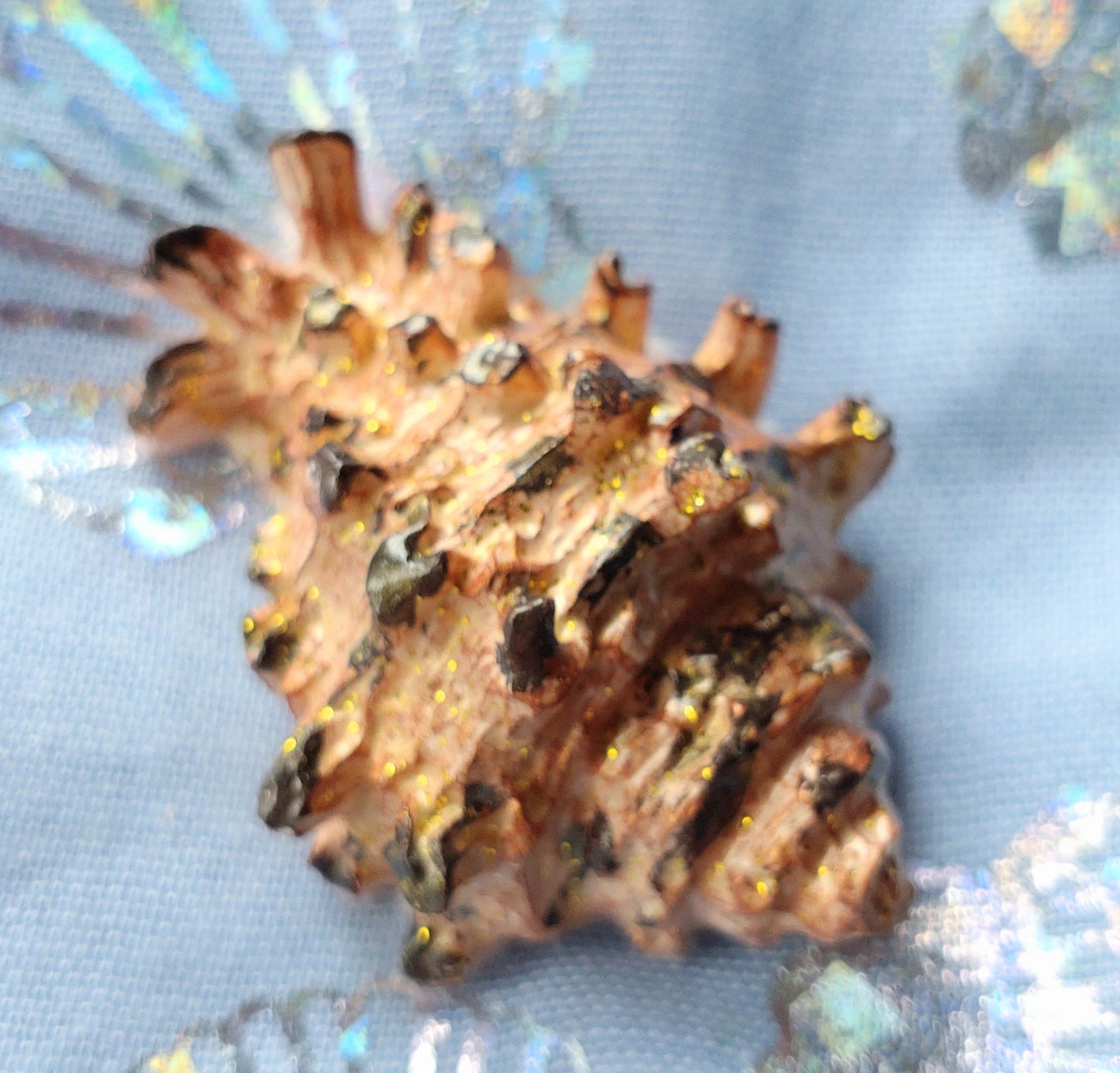 Fridge Magnet - BROWN CRYSTACAL SPIKEY CONCH SHELL